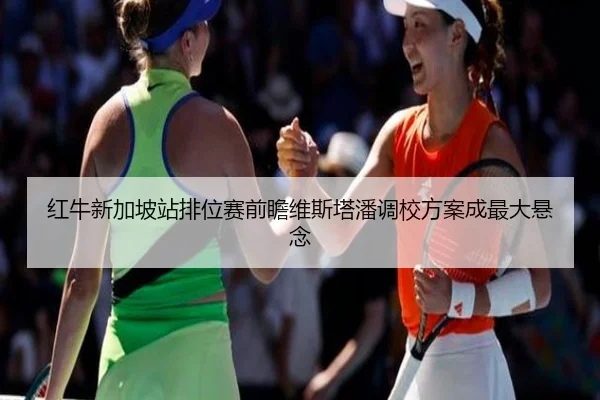 红牛新加坡站排位赛前瞻维斯塔潘调校方案成最大悬念